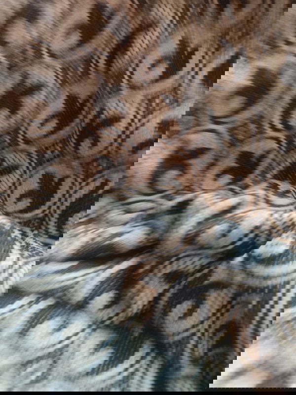 sid123, 22 years old from India