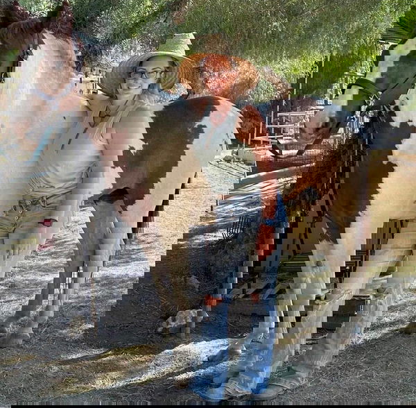 gunpigfee, 27 years old from United States