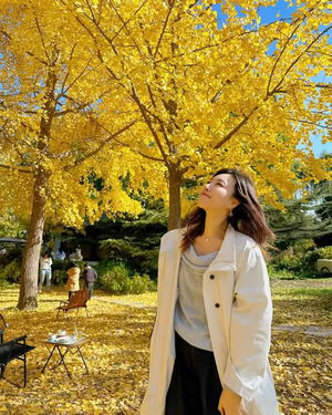 nagex61427's Profile Photo