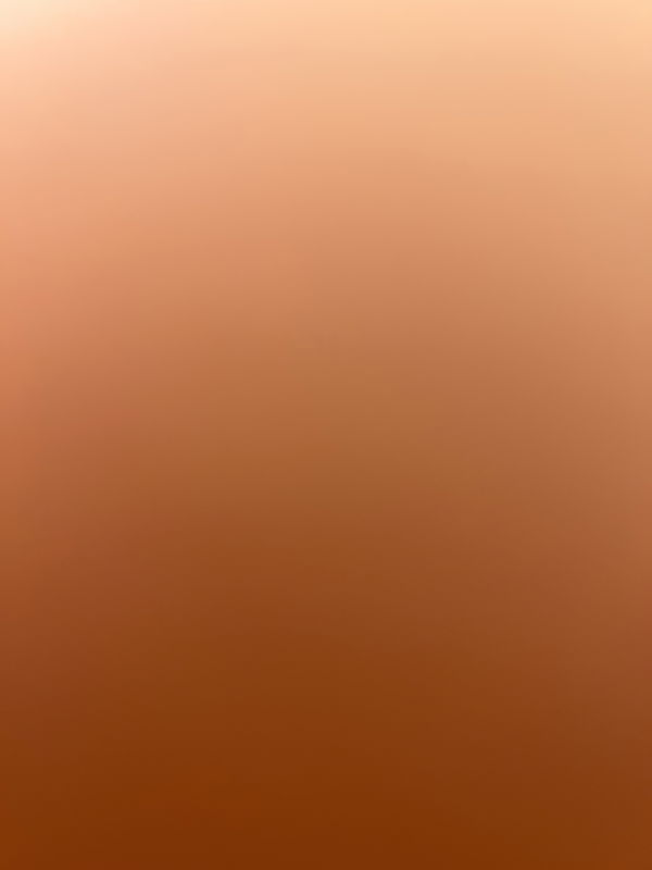 Ethanishorny, 18 years old from United States