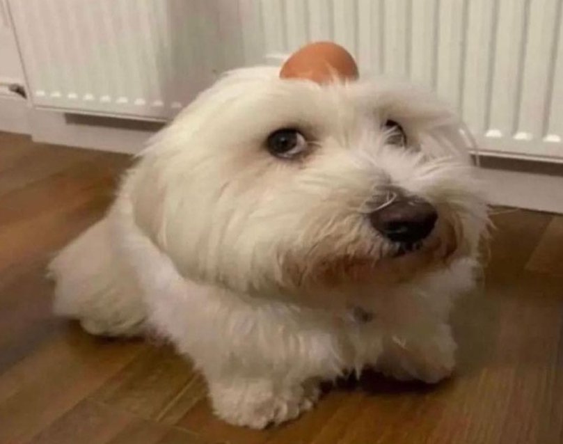 sekoor's Profile Photo