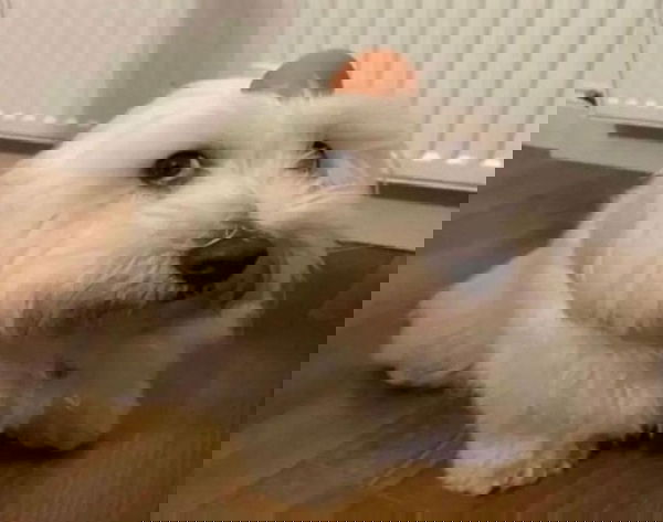 sekoor, 18 years old from Poland