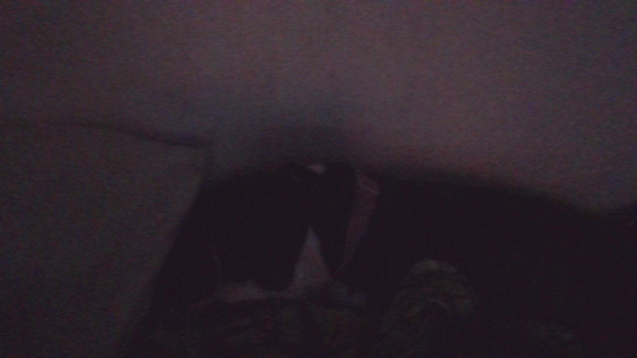 Alex431's Cover Photo