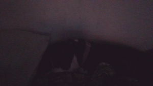 Alex431's Profile Photo