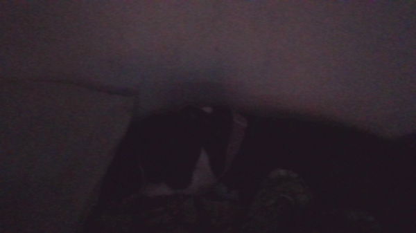 Alex431, 18 years old from United States