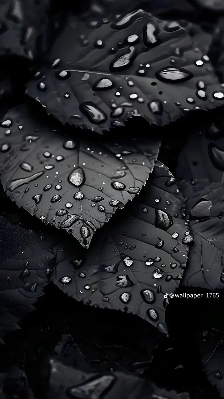 rembikowskit's Cover Photo