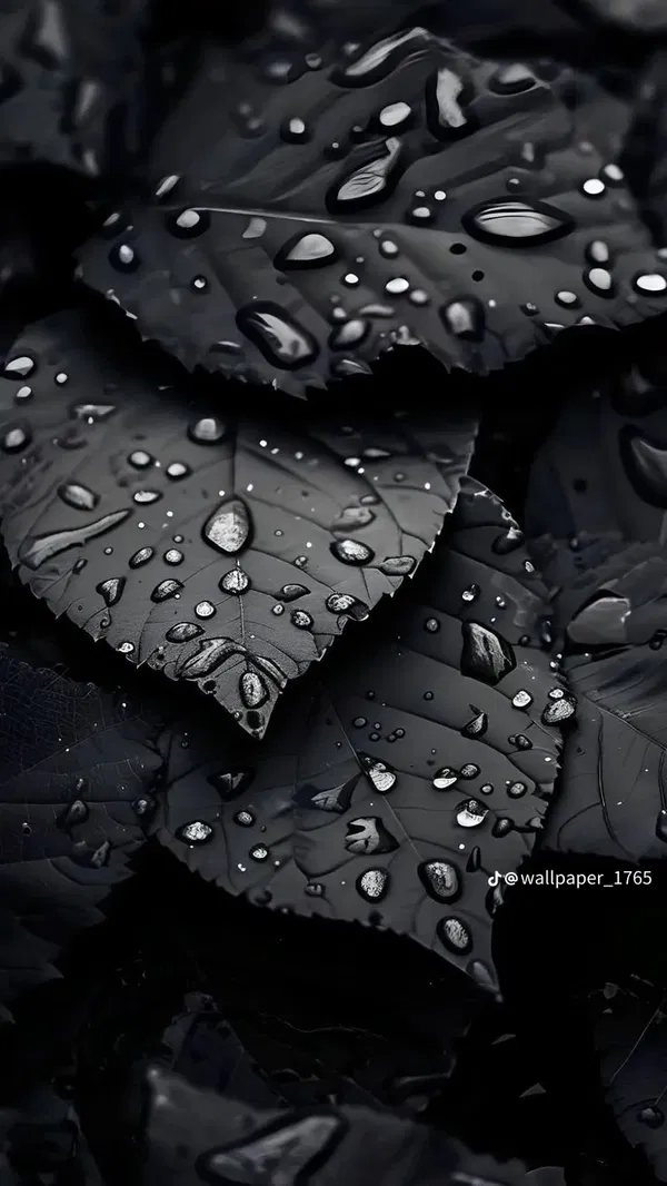 rembikowskit, 18 years old from Netherlands