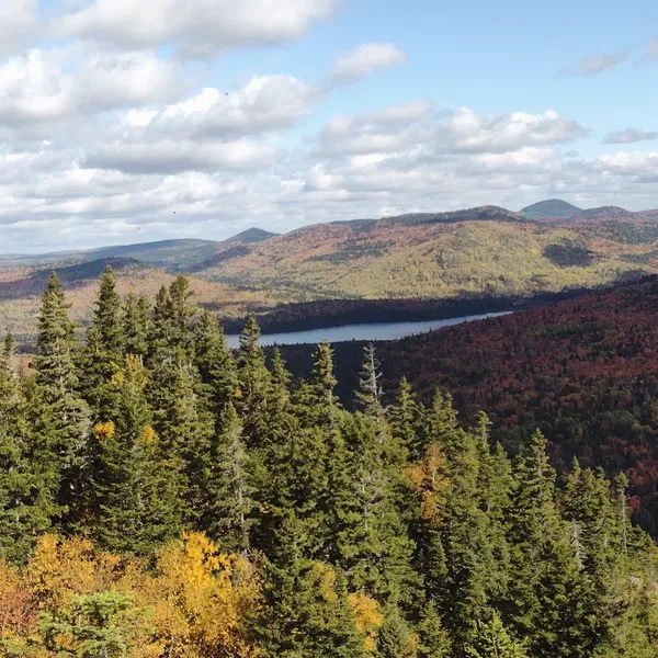 nasa31, 18 years old from Canada