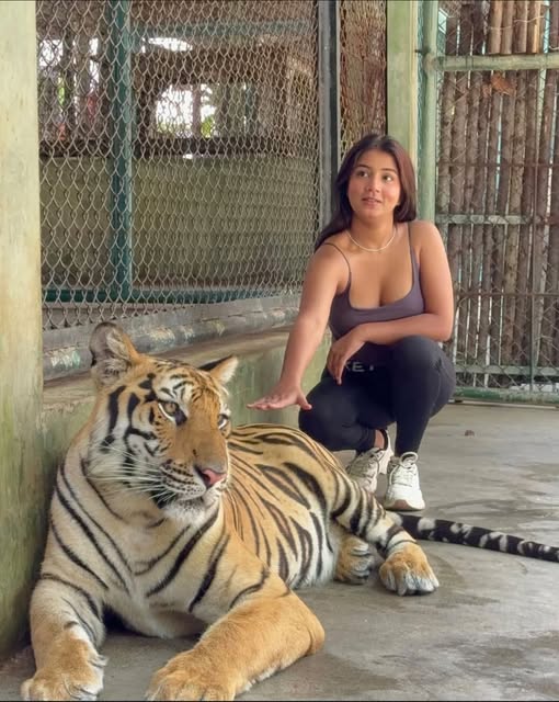 xasav91790, 23 years old from United Kingdom