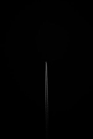 THEKING47's Profile Photo