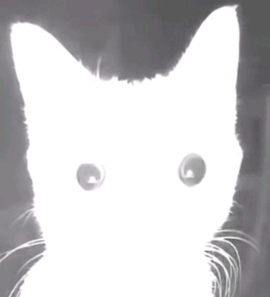 Karachi's Profile Photo