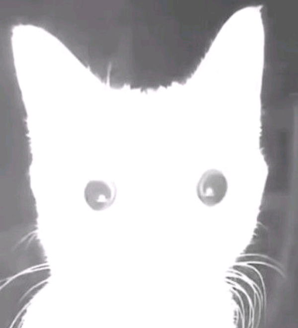 Karachi, 18 years old from United States