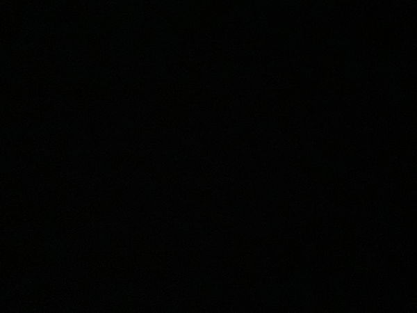 Ben, 23 years old from Australia