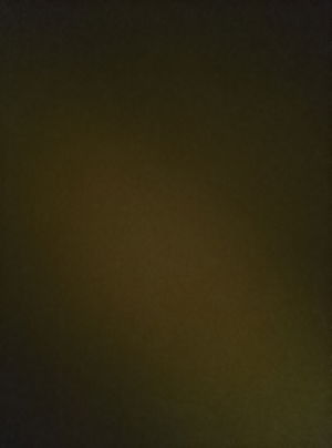 deegkoekjes's Profile Photo