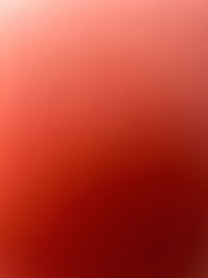 danny927383's Profile Photo