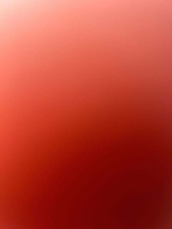 danny927383, 23 years old from United States