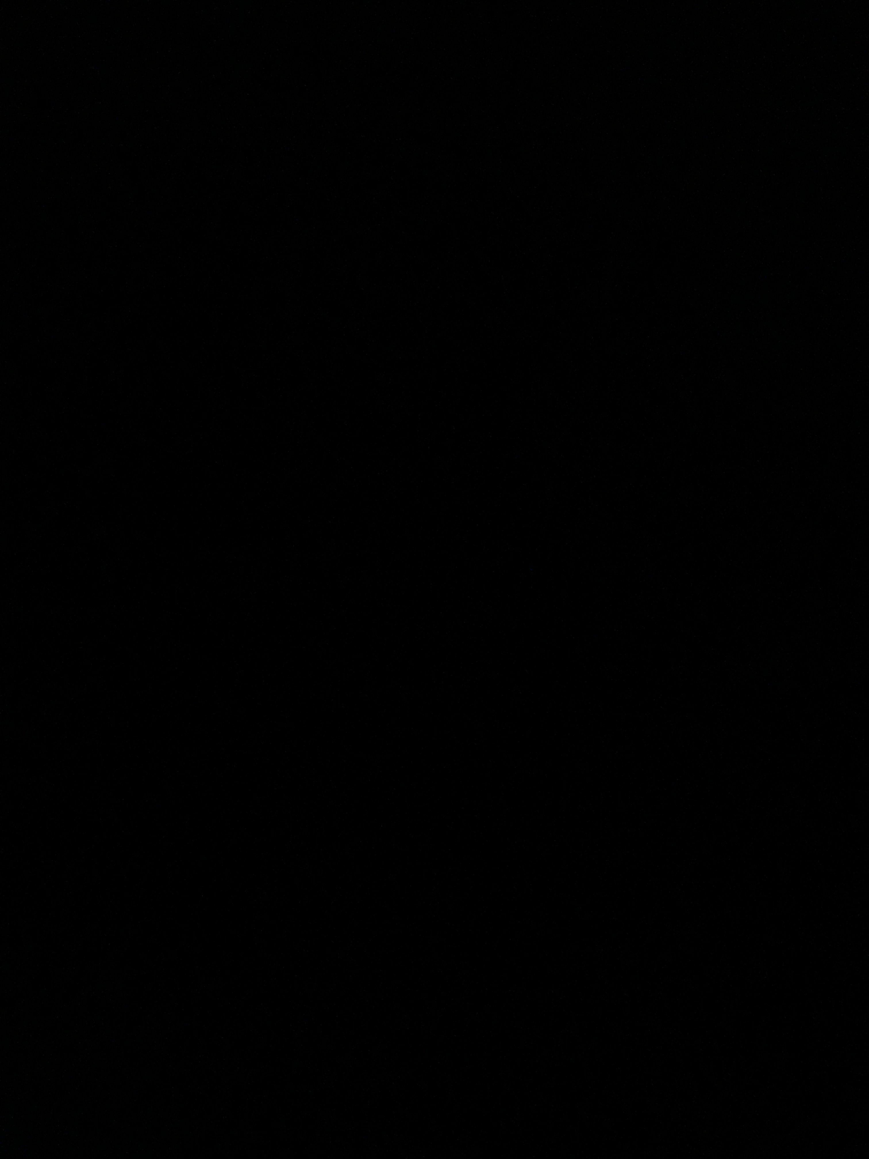 tylerramdihal2's Profile Photo