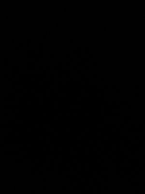 tylerramdihal2's Profile Photo