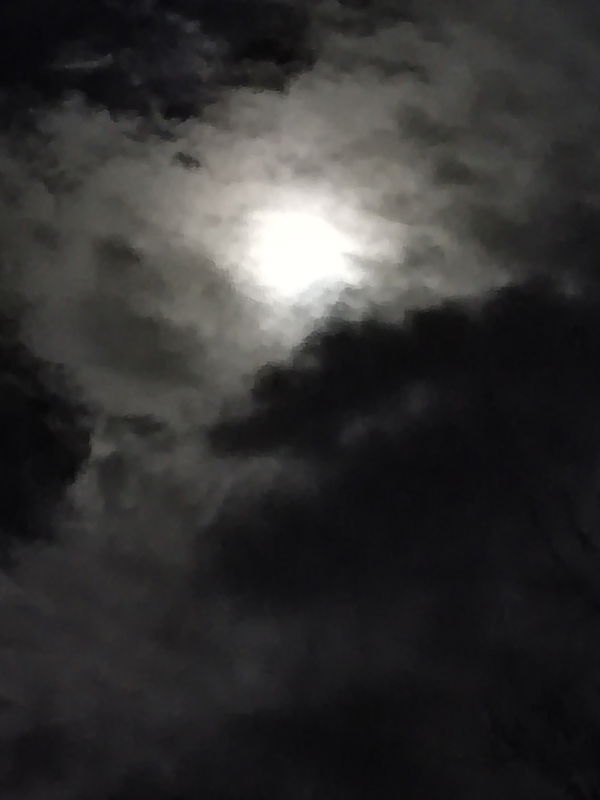 emanarmstrong, 21 years old from United States