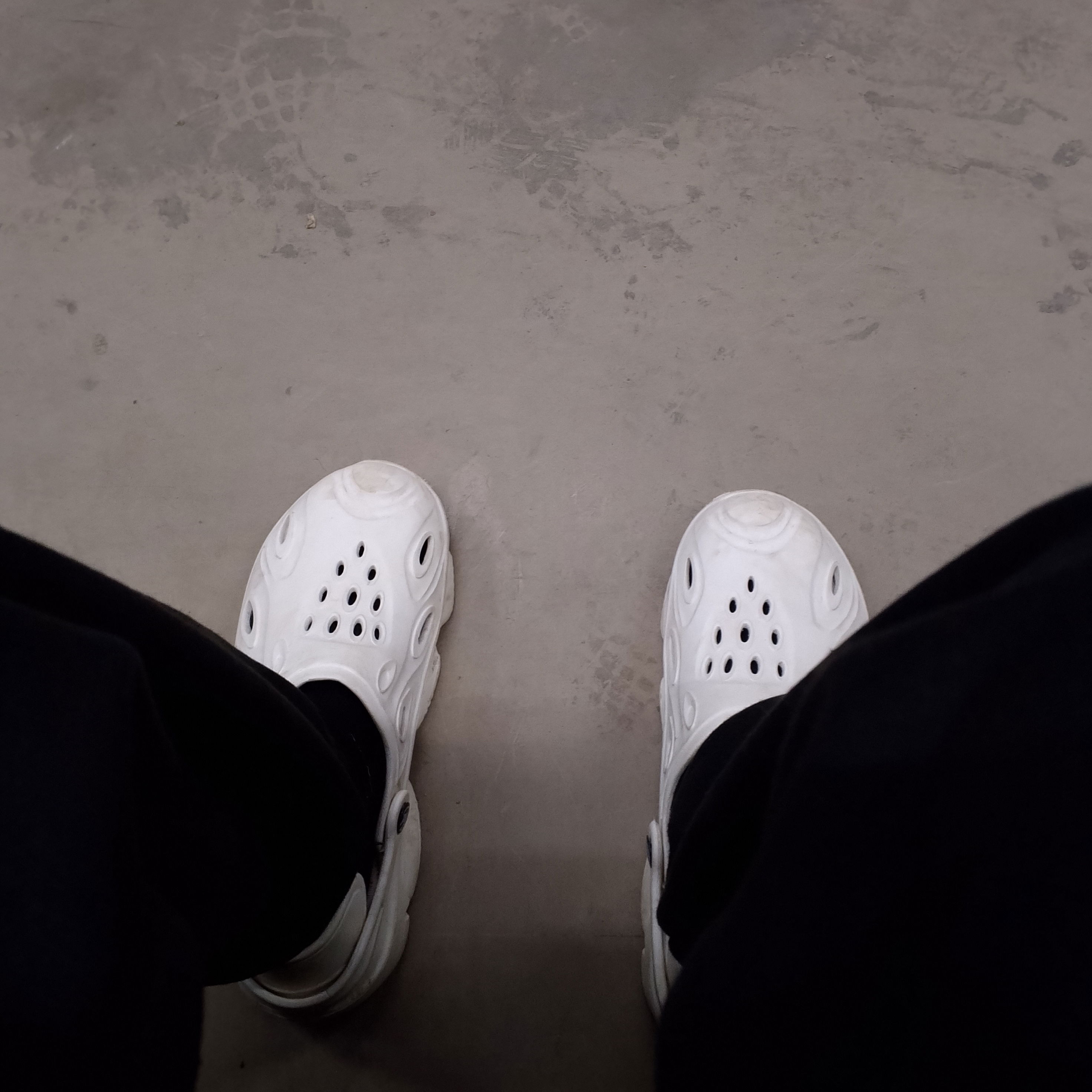 iceberg4no1's Profile Photo