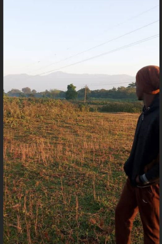 deeporaon553's Cover Photo