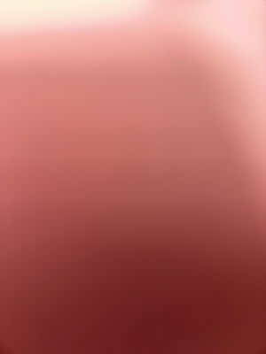 Bando0's Profile Photo