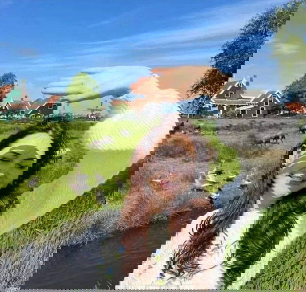 hahotecn, 25 years old from United States