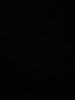 pykey's Profile Photo