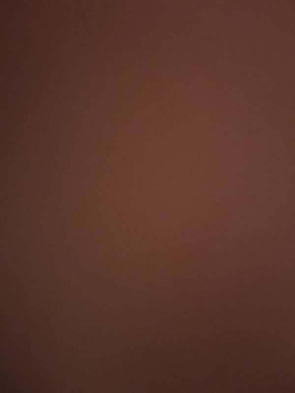 dirtbiked60, 18 years old from United States