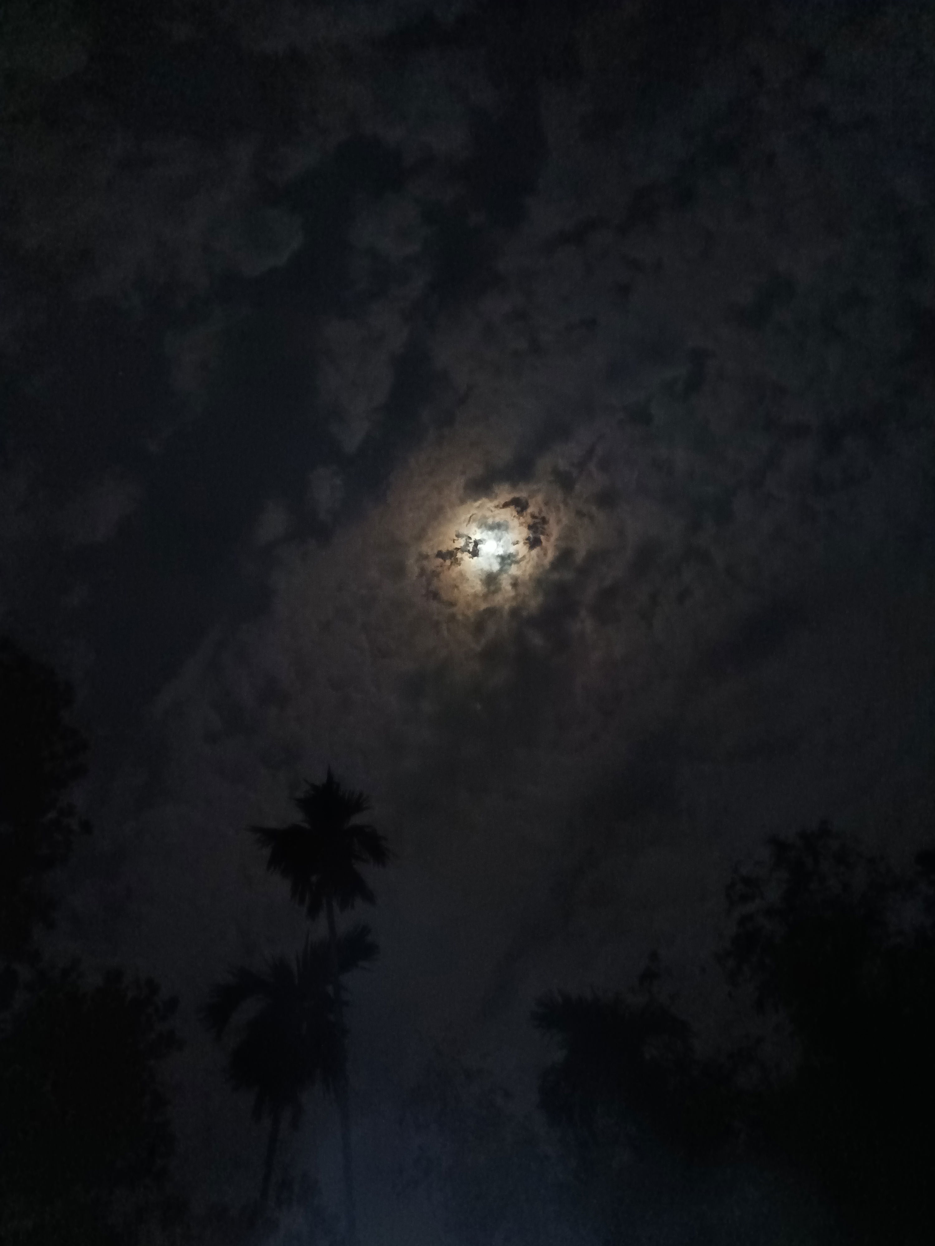 vasss's Profile Photo