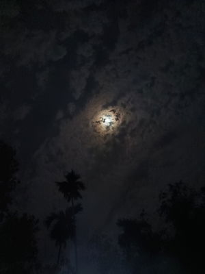 vasss's Profile Photo