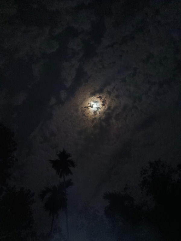 vasss, 20 years old from India