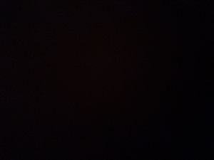 jdvon223's Profile Photo