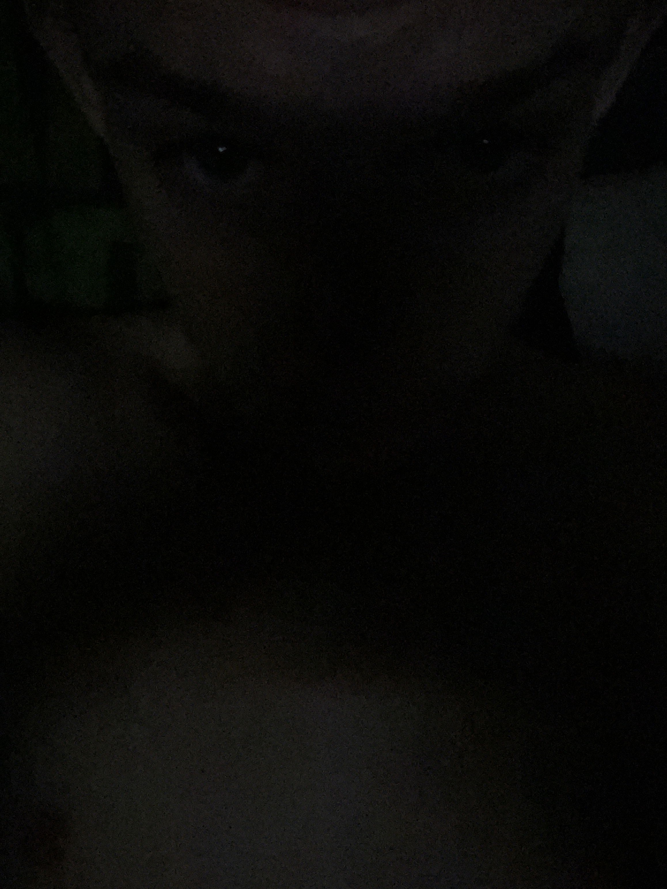 reese07's Cover Photo