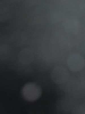 danielvasquez556's Profile Photo