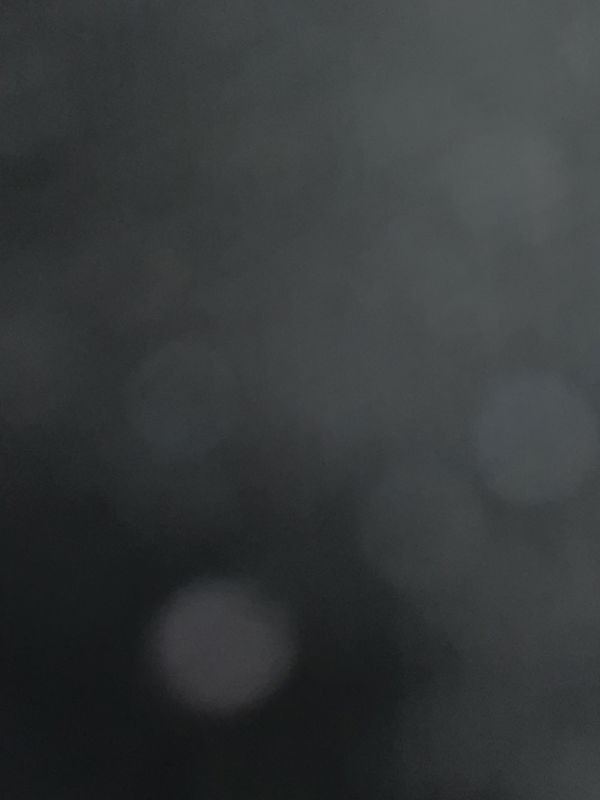 danielvasquez556, 23 years old from United States