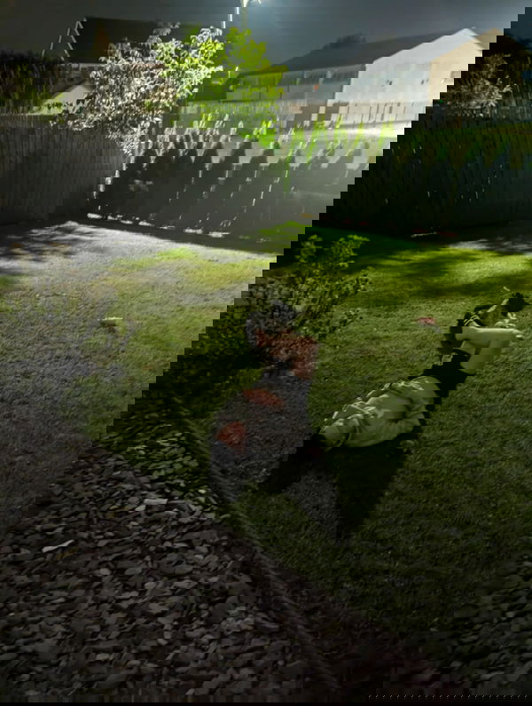 Arturas, 18 years old from Lithuania