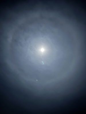 cjcurtis888's Profile Photo