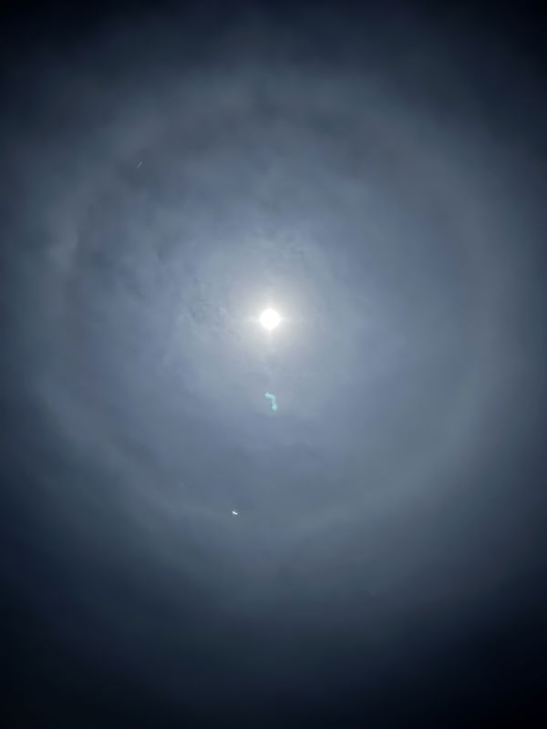 cjcurtis888, 18 years old from United States