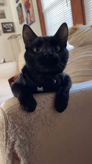 jo5168329's Profile Photo