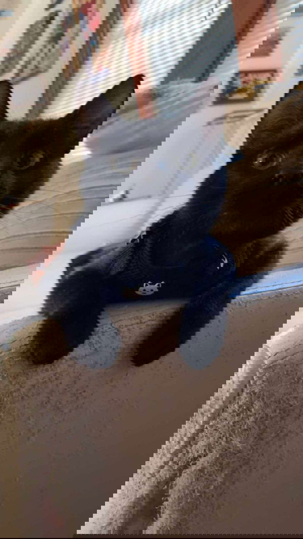 jo5168329, 29 years old from United States