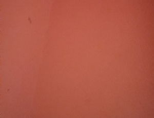 onlyfun929's Profile Photo