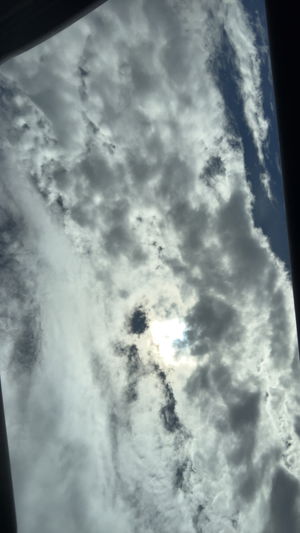 Johnn's Profile Photo