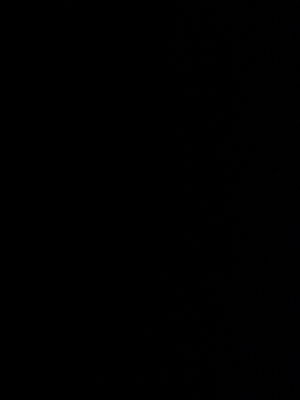 asifibrahim88990's Profile Photo