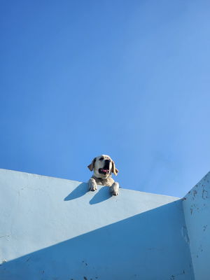 fisherr's Profile Photo