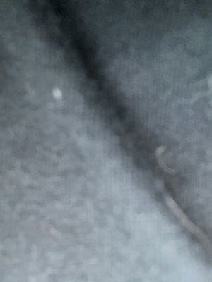 caylebjt23's Profile Photo