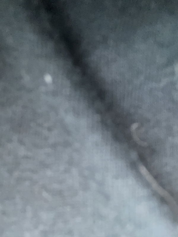 caylebjt23, 20 years old from United States