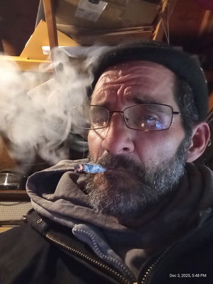 detomasoa7's Profile Photo