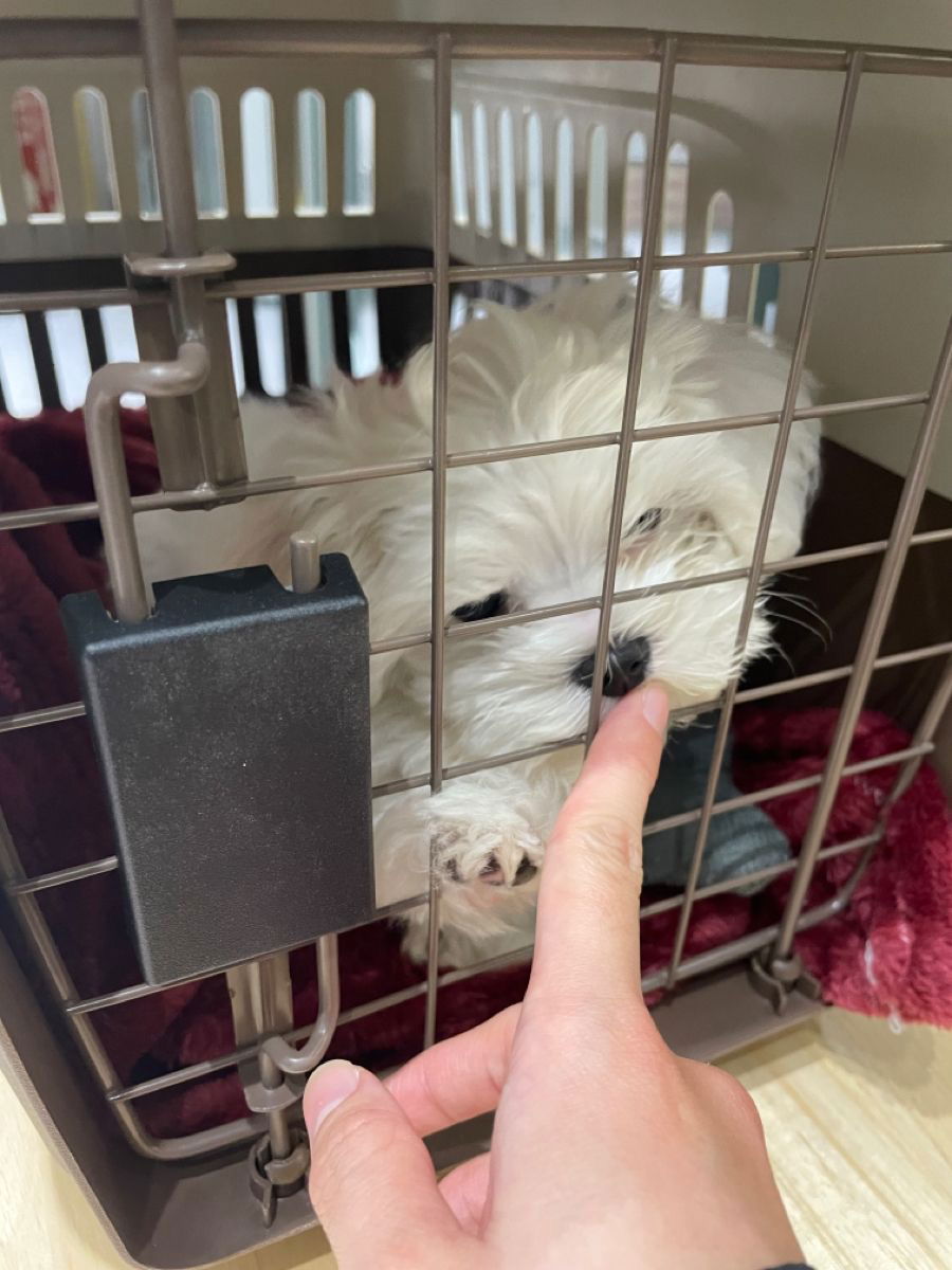 mymailsender8's Cover Photo