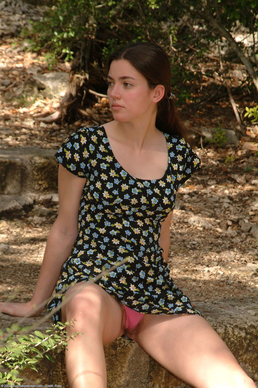 cirefir563's Profile Photo